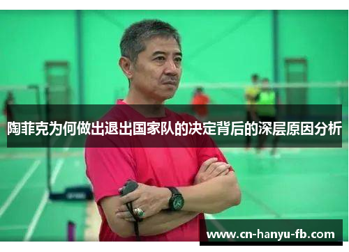 陶菲克为何做出退出国家队的决定背后的深层原因分析 陶菲克为何做出退出国家队的决定背后的深层原因分析