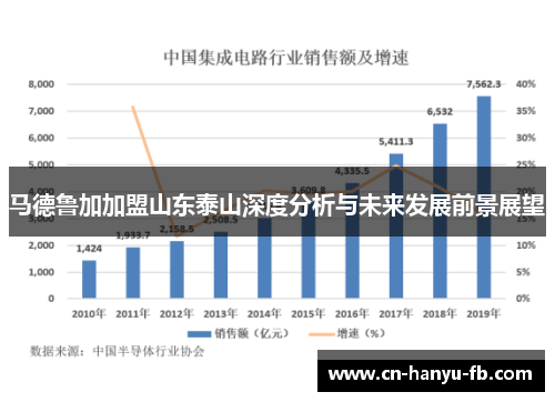 马德鲁加加盟山东泰山深度分析与未来发展前景展望 马德鲁加加盟山东泰山深度分析与未来发展前景展望