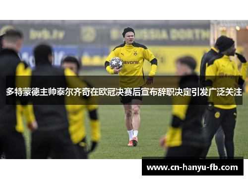多特蒙德主帅泰尔齐奇在欧冠决赛后宣布辞职决定引发广泛关注 多特蒙德主帅泰尔齐奇在欧冠决赛后宣布辞职决定引发广泛关注