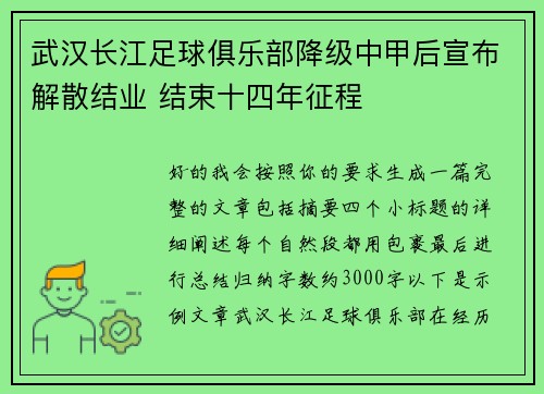 武汉长江足球俱乐部降级中甲后宣布解散结业 结束十四年征程 武汉长江足球俱乐部降级中甲后宣布解散结业 结束十四年征程